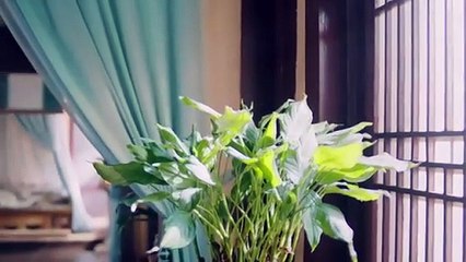 Chinese Gay Sexy movie 11