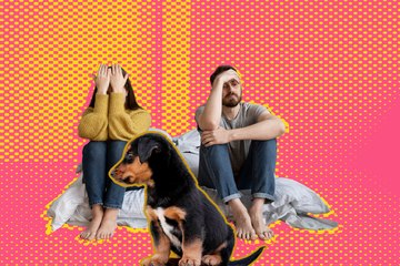 ¿Quién se queda con el perro? Esto opinan los regios de la nueva ley presentada en el Congreso