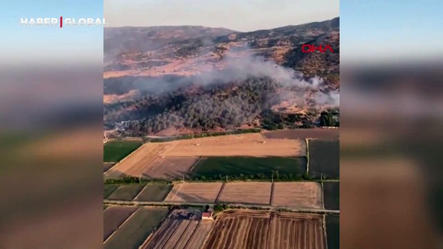 Aydın’da çıkan orman yangınında 2 hektarlık alan zarar gördü