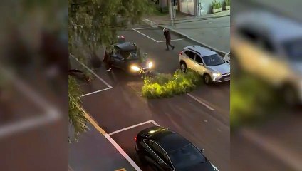 Do nada! Galho de árvore cai e danifica carro no Centro de Cascavel