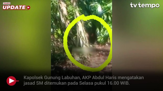 Nenek di Way Kanan Lampung Tewas Diserang Beruang di Kebun Kopi