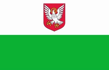 Flag of Laane County. Bendera Kabupaten Laane. Laane County Flag. Flag of County of Laane. County of Laane Flag. Laanemaa lipp. Drapeau du comté de Laane. Bandera del condado de Laane. Bandeira do Condado de Laane. Steagul județului Laane. レーネ県の旗