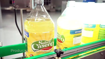 ATB CIENCIA - ¿Por qué los gatos viven más que los perros?