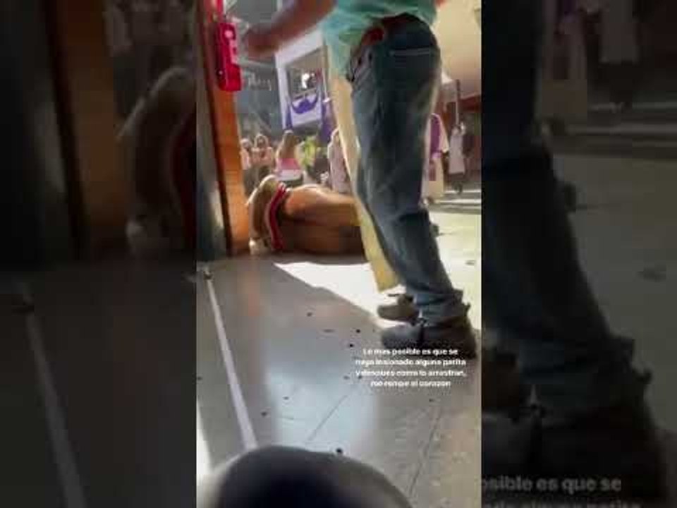 Burro sufrió accidente en plena actividad de Semana Santa