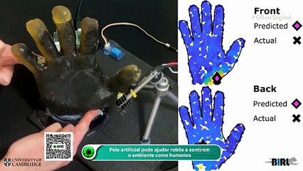 Pele artificial pode ajudar robôs a sentirem o ambiente como humanos