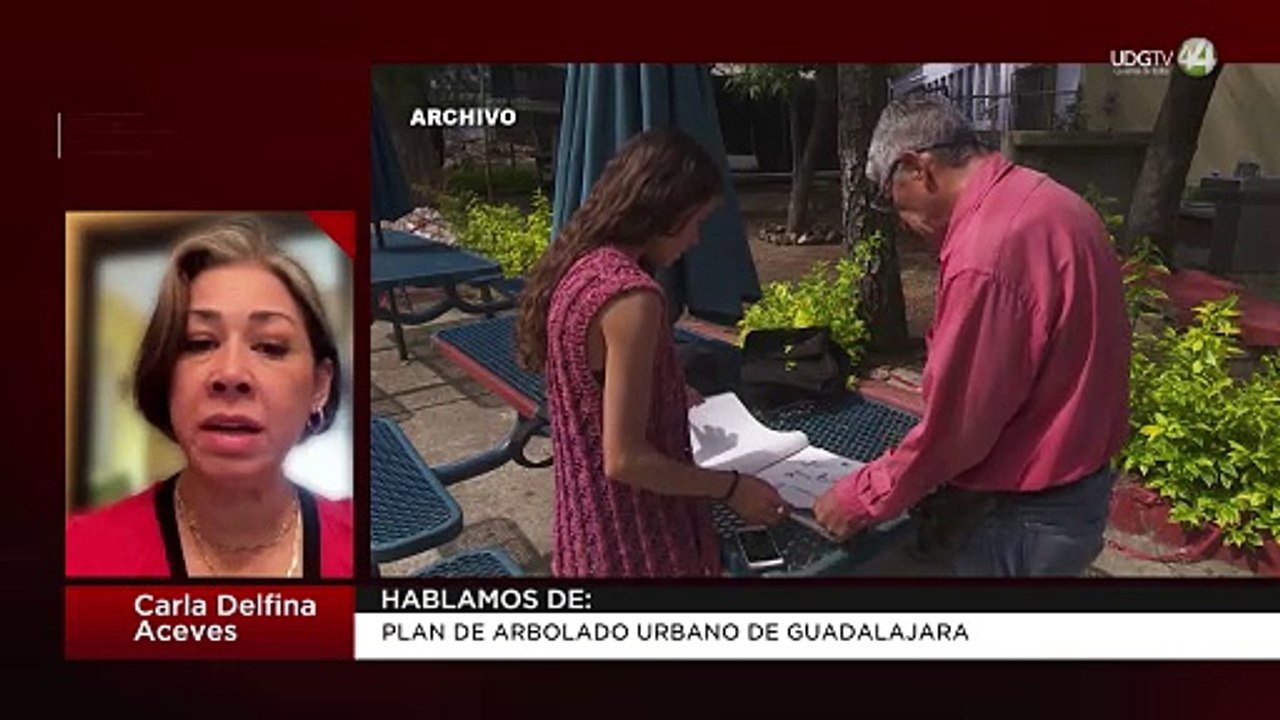 Plan de arbolado urbano de Guadalajara | Carla Delfina Aceves