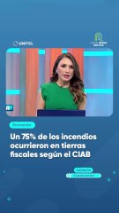 Un 75% de los incendios ocurrieron en tierras fiscales según el CIAB