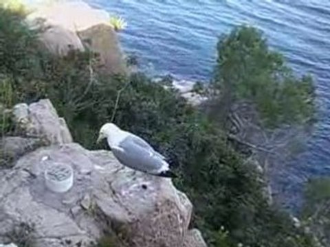 Vacances avril-mai 2008 836