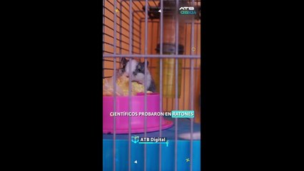 Revolución en la Medicina: Nanopartículas de Oro para Restaurar la Visión 👁️