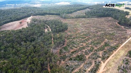 Yarrowitch drone aerial big pan over land clearing