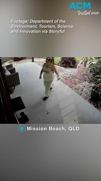 Cassowary family chases mother and daughter in Queensland