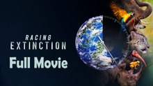Racing Extinction (2015) Full Movie HD