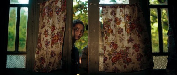 Không Ai Ngủ Trong Rừng Đêm Nay - Nobody Sleeps in the Woods Tonight