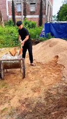 Funny video, tention relief, comedy, be happy.