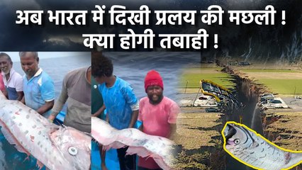 Doom Fish In Tamil Nadu: 2011 जापान सुनामी और कैलिफ़ोर्निया भूकंप लाने वाली प्रलय की Oarfish कौन