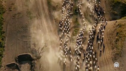 Nemrut Dağı eteklerinde zorlu yayla yolculuğu