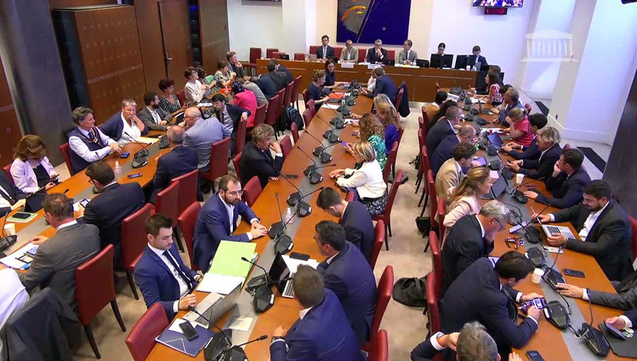 Commission des lois : Liens entre les représentants de mouvements politiques et des organisations soutenant l’action terroriste ; Création d’un statut de l’élu local (suite) - Mercredi 18 juin 2025