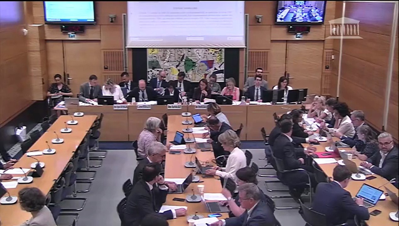 Commission des affaires culturelles : Réforme de l’audiovisuel public et souveraineté audiovisuelle (suite) - Mercredi 18 juin 2025