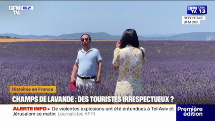 Face à l'affluence de touristes, les propriétaires de champs de lavande appellent au respect de leur travail