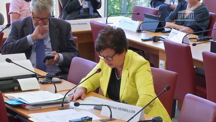 Commission des affaires étrangères :  Fondation Casimir Pulaski ; M. Fahad M. Alruwaily, ambassadeur extraordinaire et plénipotentiaire du Royaume d’Arabie saoudite en France - Mercredi 18 juin 2025