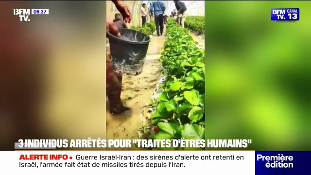 13h de travail par jour, ouvriers frappés...trois personnes arrêtées pour traite d'êtres humains sur une exploitation agricole du Vaucluse