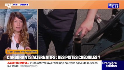 Carburants alternatifs: des pistes crédibles?