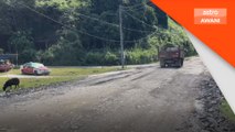 Jalan rosak teruk, berselisih lori, mengundang tragedi