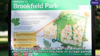 Sussex World Morning Update 19 June, 2025