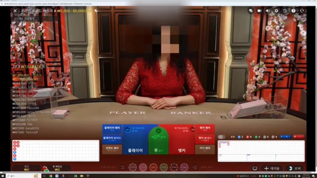 5천억 원 규모 불법 도박 누리집 운영 조직 검거 / YTN