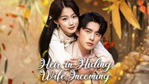 Heir in Hiding, Wife Incoming Full Episode