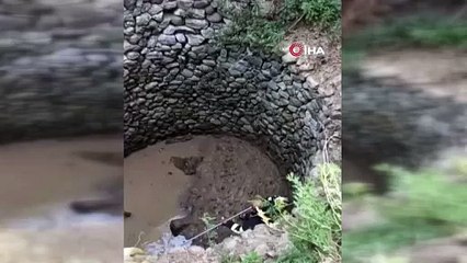 Esenyurt’u Teksas’a çevirdiler! Gece saatlerinde tekel bayisi kurşunlandı