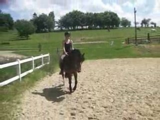 Nénu et moi 2ème essai