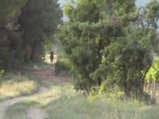 ballade a cheval dans le 13 ---> 2ème partie