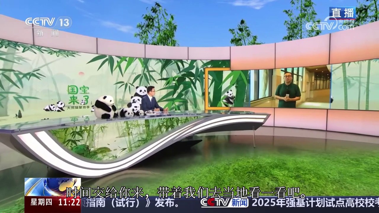 CCTVpanda2025
