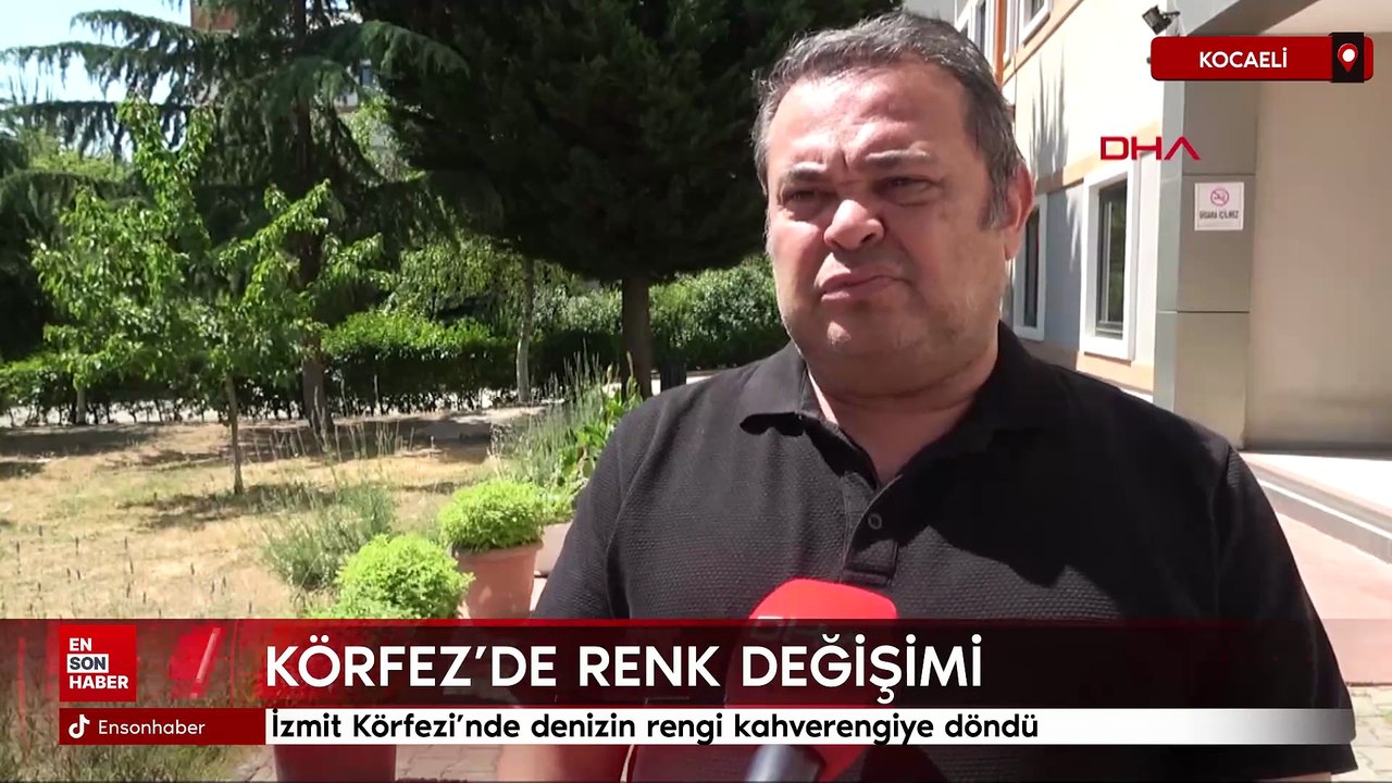 İzmit Körfezi’nde denizin rengi kahverengiye döndü: Uzmanlar uyardı
