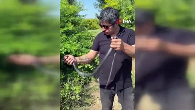 Isırmaz deyip eline doladığı 1 buçuk metrelik yılan tarafından ısırıldı