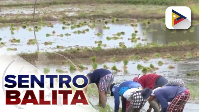 Supply ng fertilizer ng bansa, sapat sa kabila ng girian ng Israel at Iran ayon sa D.A.