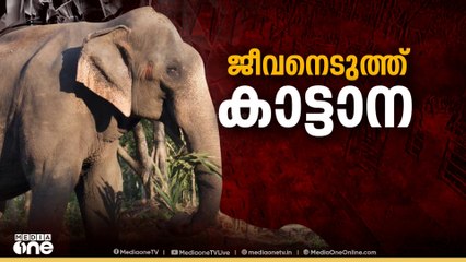 മുണ്ടൂരിൽ വീട്ടുമുറ്റത്ത് കാട്ടാനയുടെ ആക്രമണത്തിൽ ഗൃഹനാഥന് ദാരുണാന്ത്യം