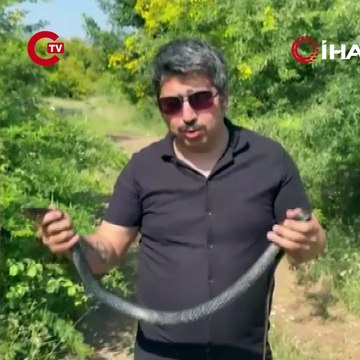 Zararsız, öldürmeyin dediği 1 buçuk metrelik yılan bir anda elini ısırdı