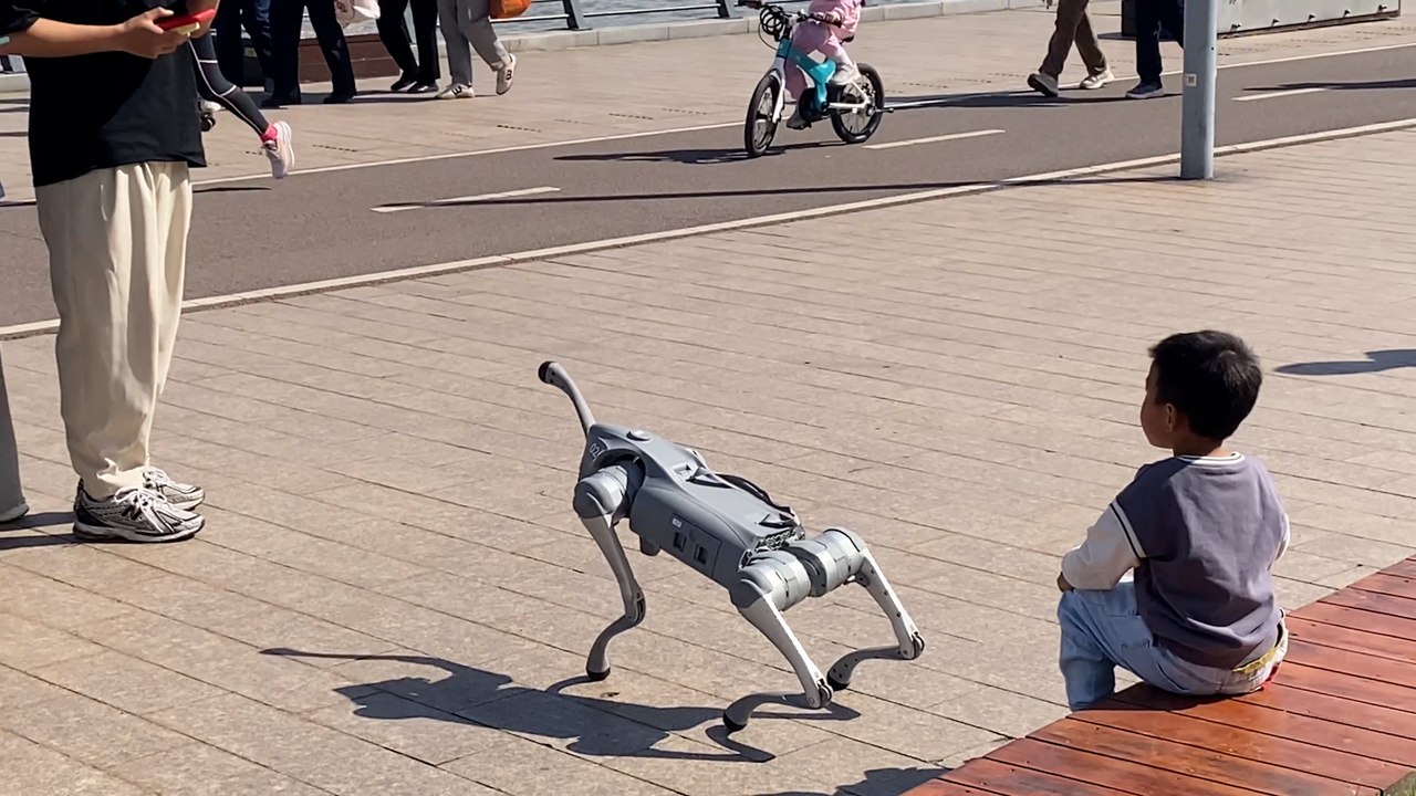 Así son los perros robots que acompañan al hombre de a pie, al bombero y al policía en China