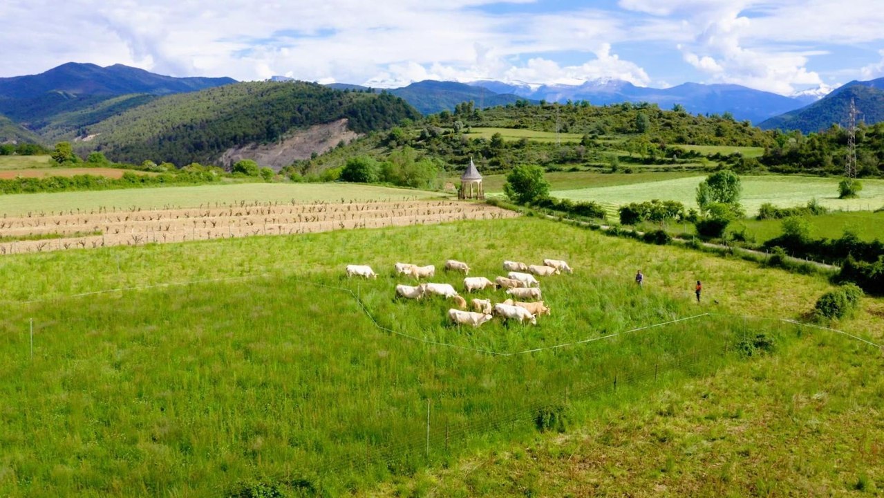 Spot “Aragón, sabor de verdad”.
