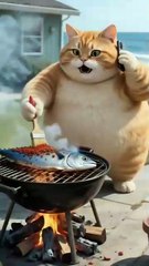 Funny Greedy Cat Stories Show 9