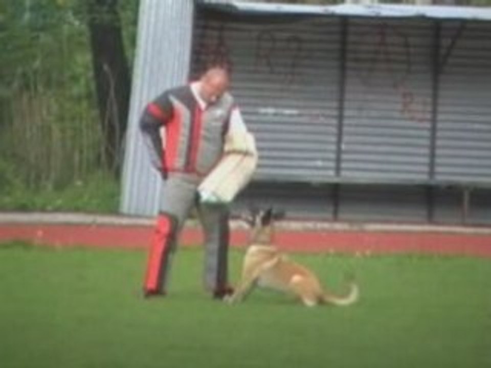 FMBB-2008-Schmidt/Whisper