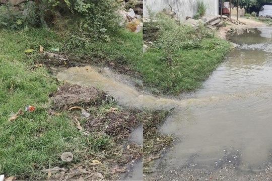 एक साल से सड़क पर बह रहा सीवर का गंदा पानी, कॉलोनीवासियों की सुध नहीं ले रहा निगम