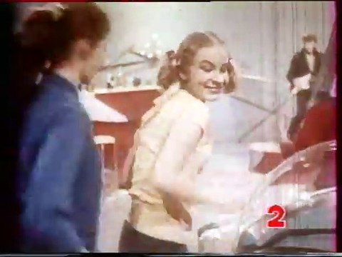 Johnny Hallyday – Anniversaire & Préparatifs du Parc des Princes (Antenne 2 - 15 Juin 1993)