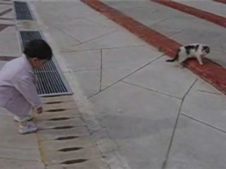 Le petit déjeuner du chat