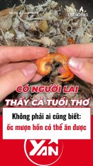 Không phải ai cũng biết ốc mượn hồn ăn được