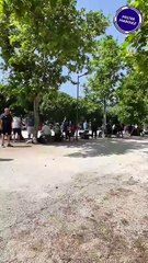 Vidéo 1  du national mixte buis 2025