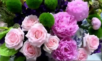 ข่าวในพระราชสำนัก 26 มิถุนายน 2567 (ช่อง Thai PBS)