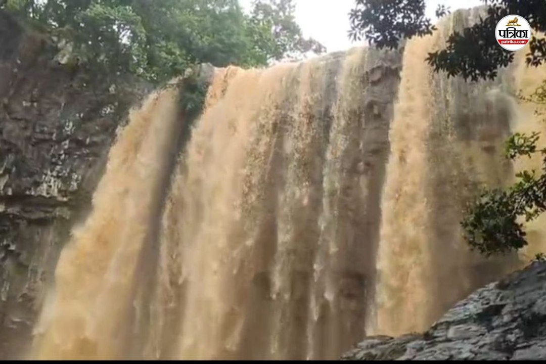 Monsoon: सरगुजा संभाग में मॉनसून मेहरबान, नदियां-झरनों में बढ़ी हलचल, खेत लबालब देख किसान खुश
